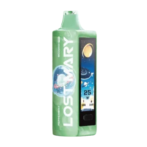 Peppermint Lost Mary MO20000